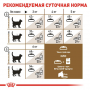 Сухий корм для котів Royal Canin (Роял Канін) Ageing 12+ 2 кг