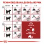 Сухой корм для котов Royal Canin (Роял Канин) FIT 0.4 кг