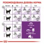 Сухий корм для котів Royal Canin (Роял Канін) Sensible 0.4 кг