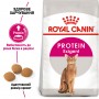 Сухой корм для котов Royal Canin (Роял Канин) Protein Exigent 2 кг