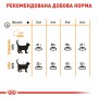 Сухий корм для котів Royal Canin (Роял Канін) Hair and Skin Care 0.4 кг