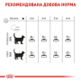 Сухой корм для котов Royal Canin (Роял Канин) Dental Care 0.4 кг