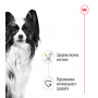 Влажный корм для собак Royal Canin X-Small Adult 85 г