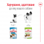 Влажный корм для собак Royal Canin X-Small Adult 85 г