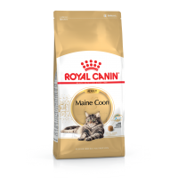 Сухой корм для котов Royal Canin (Роял Канин) Maine Coon Adult 4 кг Сухой корм для котов Royal Canin (Роял Канин) Maine Coon Adult 4 кг