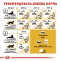 Сухий корм для котів Royal Canin (Роял Канін) Maine Coon Adult 10 кг