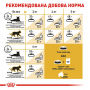 Сухой корм для котов Royal Canin (Роял Канин) Siamese Adult 0.4 кг