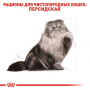 Сухий корм для котів Royal Canin (Роял Канін) Persian Adult 2 кг