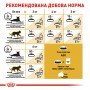 Сухий корм для котів Royal Canin (Роял Канін) Sphynx Adult 10 кг