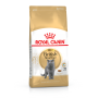 Сухий корм для котів Royal Canin (Роял Канін) British Shorthair Adult 0.4 кг