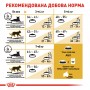 Сухий корм для котів Royal Canin (Роял Канін) Bengal Adult 2 кг