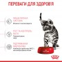 Сухий корм для кошенят Royal Canin (Роял Канін) Kitten Sterilised 0.4 кг