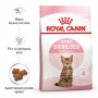 Сухий корм для кошенят Royal Canin (Роял Канін) Kitten Sterilised 0.4 кг