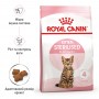 Сухий корм для кошенят Royal Canin (Роял Канін) Kitten Sterilised 2 кг