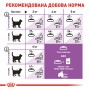 Сухий корм для котів Royal Canin (Роял Канін) Sterilised 0.4 кг