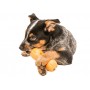 Іграшка для собак West Paw Qwizl Treat Toy Orange 17 см