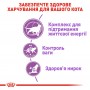 Сухий корм для котів Royal Canin (Роял Канін) Sterilised 7+ 1.5 кг