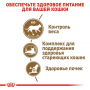 Сухой корм для котов Royal Canin (Роял Канин) Sterilised Ageing 12+ 2 кг