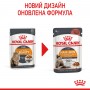 Вологий корм для котів Royal Canin (Роял Канін) Hair & Skin Gravy 85 г