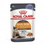 Влажный корм для котов Royal Canin (Роял Канин) Hair & Skin Jelly 85 г