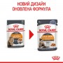 Влажный корм для котов Royal Canin (Роял Канин) Hair & Skin Jelly 85 г