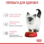 Влажный корм для котят Royal Canin (Роял Канин) Kitten Jelly 85 г