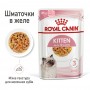 Вологий корм для кошенят Royal Canin (Роял Канін) Kitten Jelly 85 г