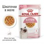 Влажный корм для котят Royal Canin (Роял Канин) Kitten Jelly 85 г