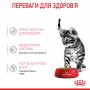 Вологий корм для кошенят Royal Canin (Роял Канін) Kitten Sterilised Gravy 85 г