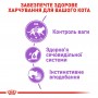 Вологий корм для котів Royal Canin (Роял Канін) Sterilised Gravy 85 г