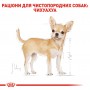 Вологий корм для собак Royal Canin (Роял Канін) Chihuahua 85 г