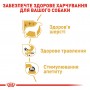 Вологий корм для собак Royal Canin (Роял Канін) Chihuahua 85 г