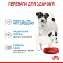 Вологий корм для щенят Royal Canin (Роял Канін) Starter Mousse Mother & Babydog 195 г