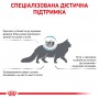 Сухой лечебный корм для котов Royal Canin (Роял Канин) Anallergenic 2 кг