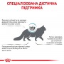 Сухий лікувальний корм для котів Royal Canin (Роял Канін) Hypoallergenic 2.5 кг