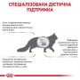 Сухий лікувальний корм для котів Royal Canin (Роял Канін) Hepatic 2 кг
