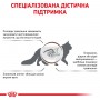 Сухий лікувальний корм для котів Royal Canin (Роял Канін) Gastrointestinal 4 кг