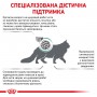 Сухий лікувальний корм для котів Royal Canin (Роял Канін) Diabetic 0.4 кг