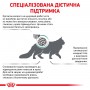 Сухой лечебный корм для котов Royal Canin (Роял Канин) Diabetic 1.5 кг
