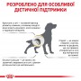 Сухой лечебный корм для собак Royal Canin (Роял Канин) Urinary S/O Dog 2 кг