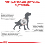 Сухий лікувальний корм для собак Royal Canin (Роял Канін) Hepatic Dog 12 кг