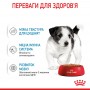 Вологий корм для щенят Royal Canin (Роял Канін) Mini Puppy 85 г