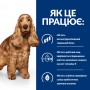 Сухий лікувальний корм для собак Hill's (Хіллс) Prescription Diet Canine z/d 3 кг