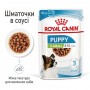 Влажный корм для щенков Royal Canin (Роял Канин) X-small Puppy 85 г