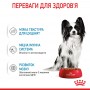 Влажный корм для щенков Royal Canin (Роял Канин) X-small Puppy 85 г