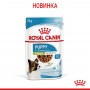 Влажный корм для щенков Royal Canin (Роял Канин) X-small Puppy 85 г
