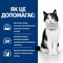 Сухий лікувальний корм для котів Hill's (Хіллс) Prescription Diet Feline i/d Digestive Care Chicken 3 кг