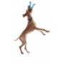 Игрушка для собак West Paw Tizzi Dog Toy Orange 11 см