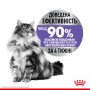 Сухий корм для котів Royal Canin (Роял Канін) Appetite Control Care 2 кг