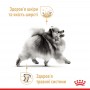 Вологий корм для собак Royal Canin (Роял Канін) Pomeranian loaf 85 г